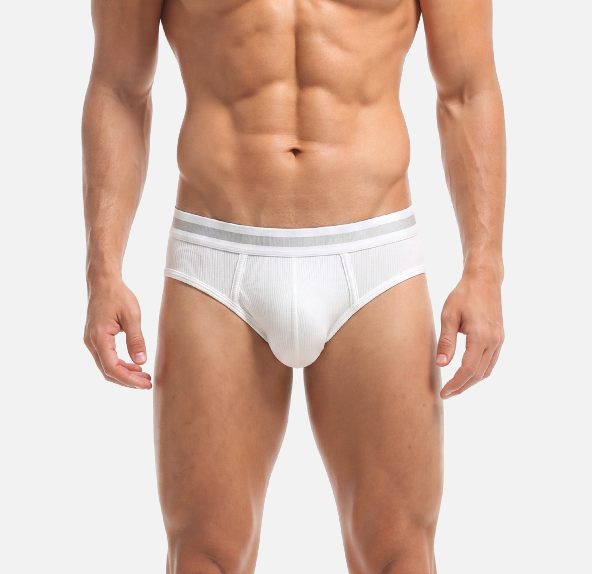 Briefs